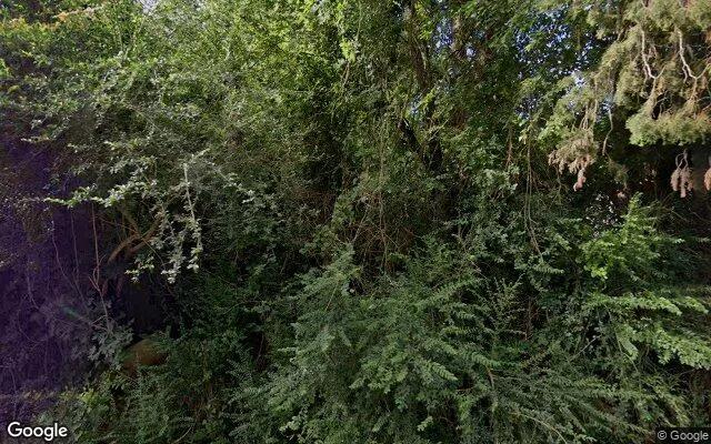 0.55 Acres in Alto - Cherokee County, TX - Image 4