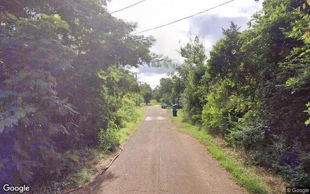 Decorative background for 0.55 Acres in Alto - Cherokee County, TX image 5