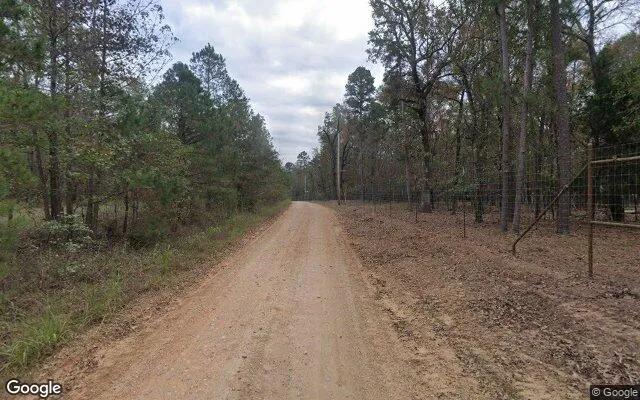 Decorative background for 34.98 Acres in Bogata - Red River County, TX image 5