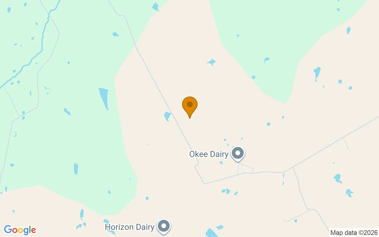125.26 Acres in Hico - Hamilton County, TX in Hamilton County, Texas