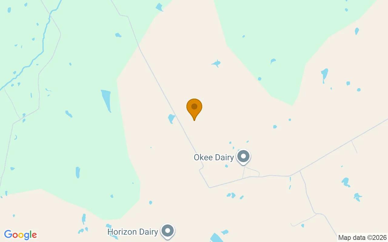 125.26 Acres in Hico - Hamilton County, TX - Image 4
