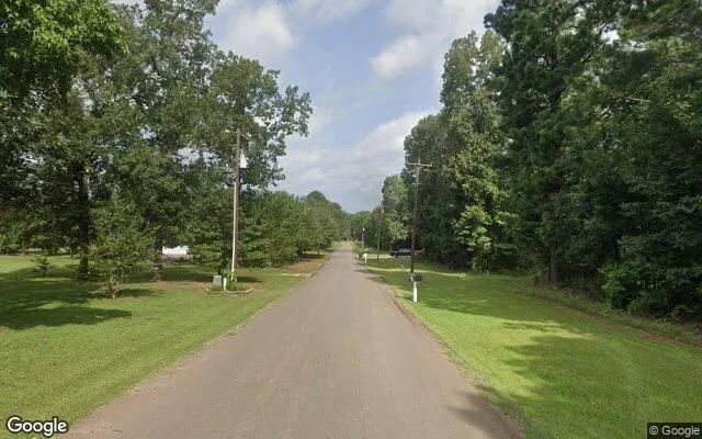 Decorative background for 0.55 Acres in Ore City - Upshur County, TX image 5