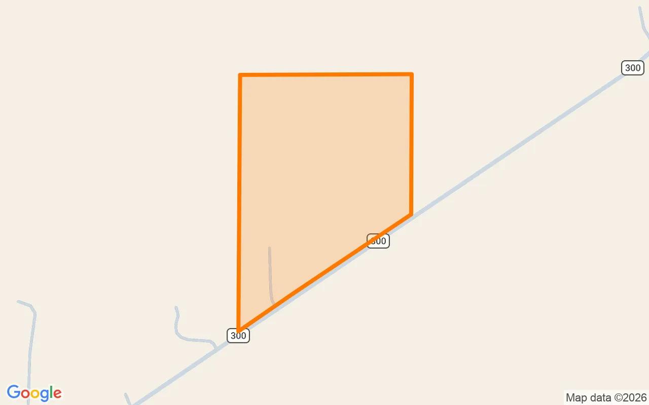 34.32 Acres in Eldorado - Schleicher County, TX - Image 2