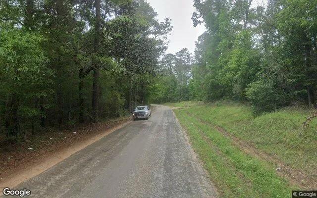 Decorative background for 0.55 Acres in Liberty - Liberty County, TX image 5