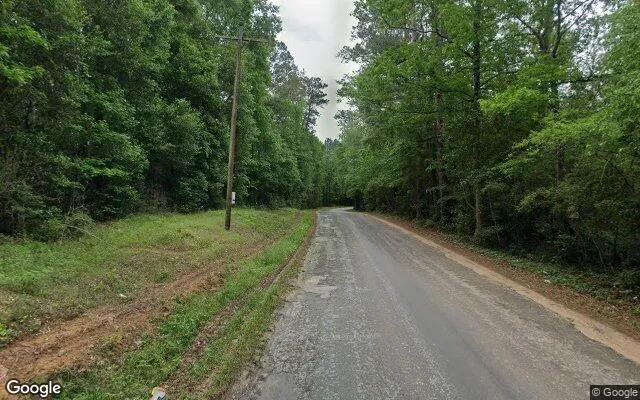 Decorative background for 0.55 Acres in Liberty - Liberty County, TX image 6