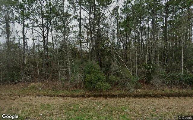 124.03 Acres in Orange - Newton County, TX - Image 4