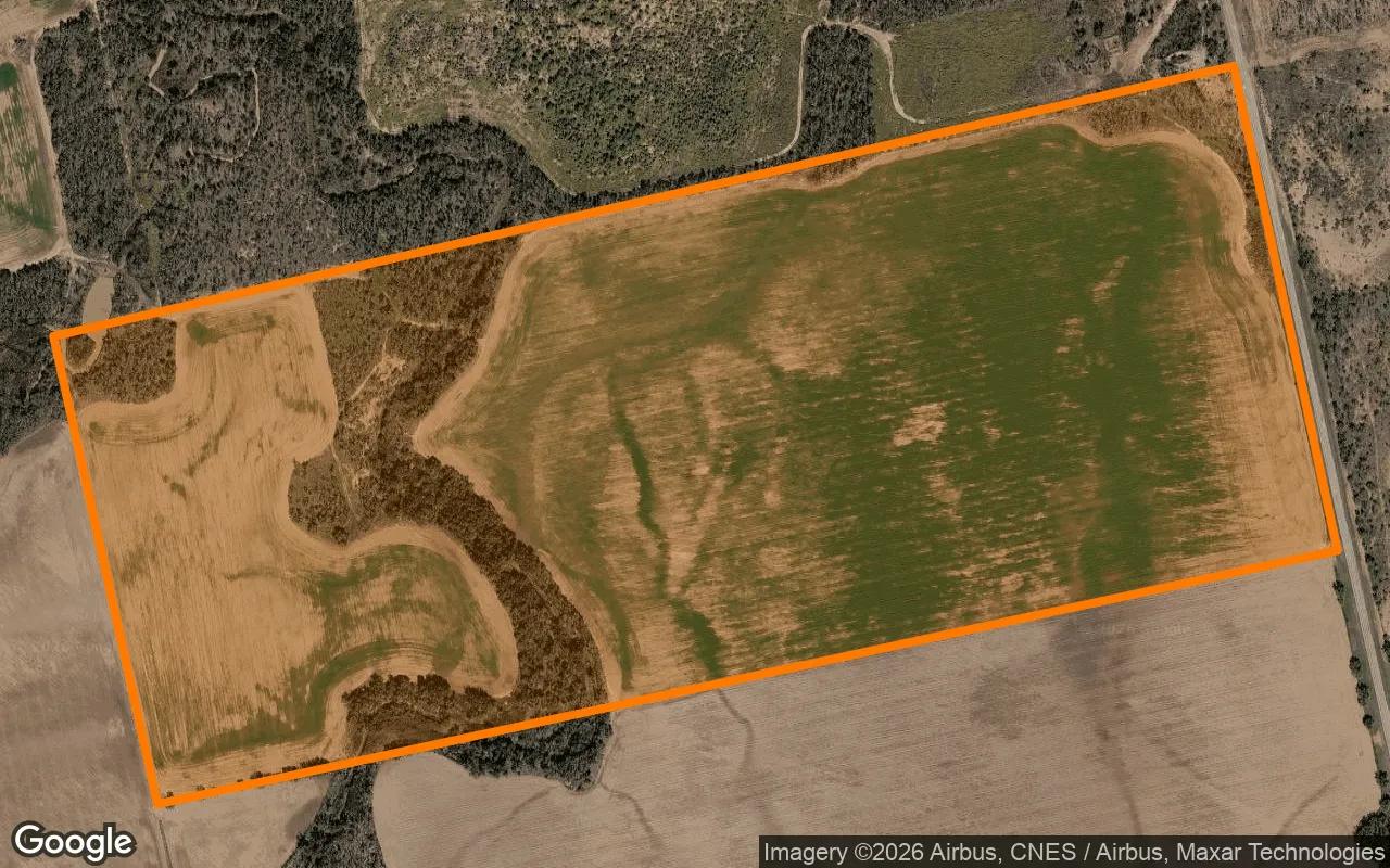 124.74 Acres in Jones - Jones County, TX - Main image