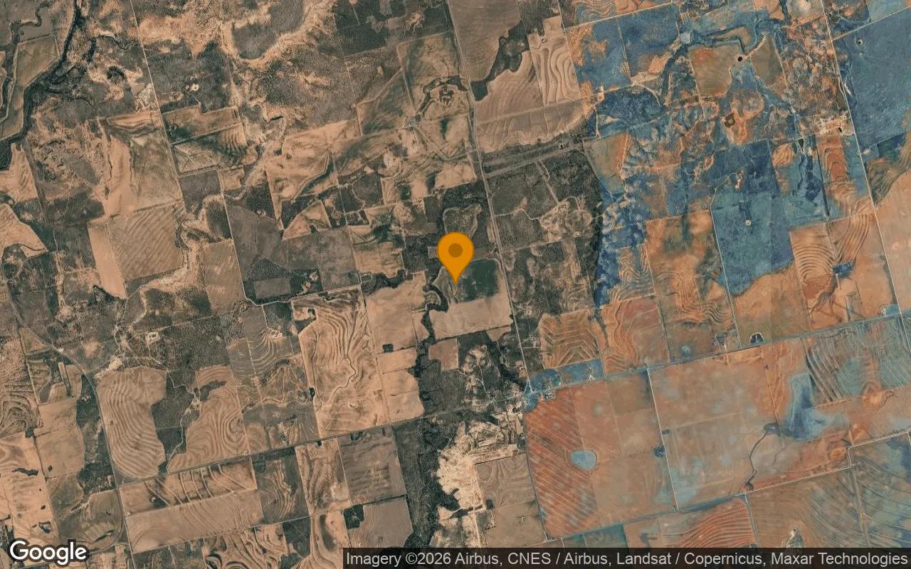 124.74 Acres in Jones - Jones County, TX - Image 3