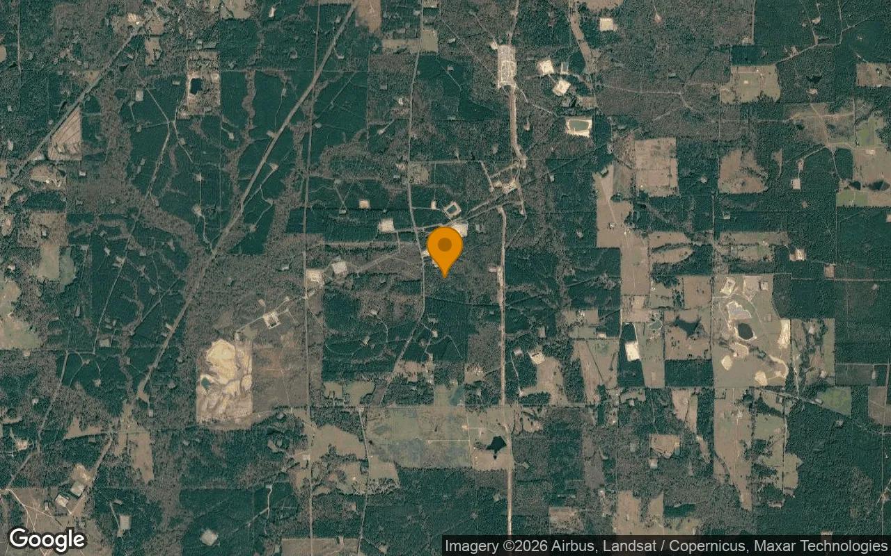 34.98 Acres in De Berry - Panola County, TX - Image 3