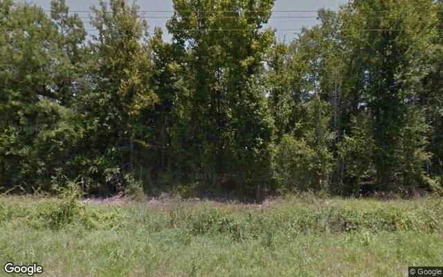 34.98 Acres in De Berry - Panola County, TX - Image 4