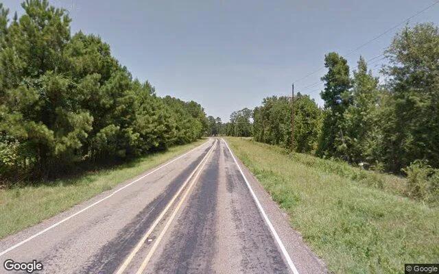 Decorative background for 34.98 Acres in De Berry - Panola County, TX image 5