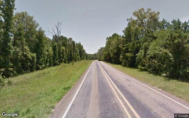 Decorative background for 34.98 Acres in De Berry - Panola County, TX image 6