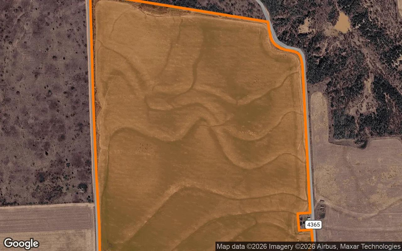 Decorative background for 125.51 Acres in Goree - Knox County, TX image 6
