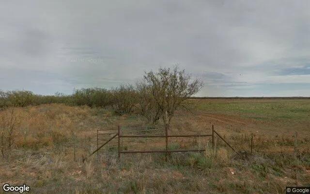 124.77 Acres in Jones - Jones County, TX - Image 4