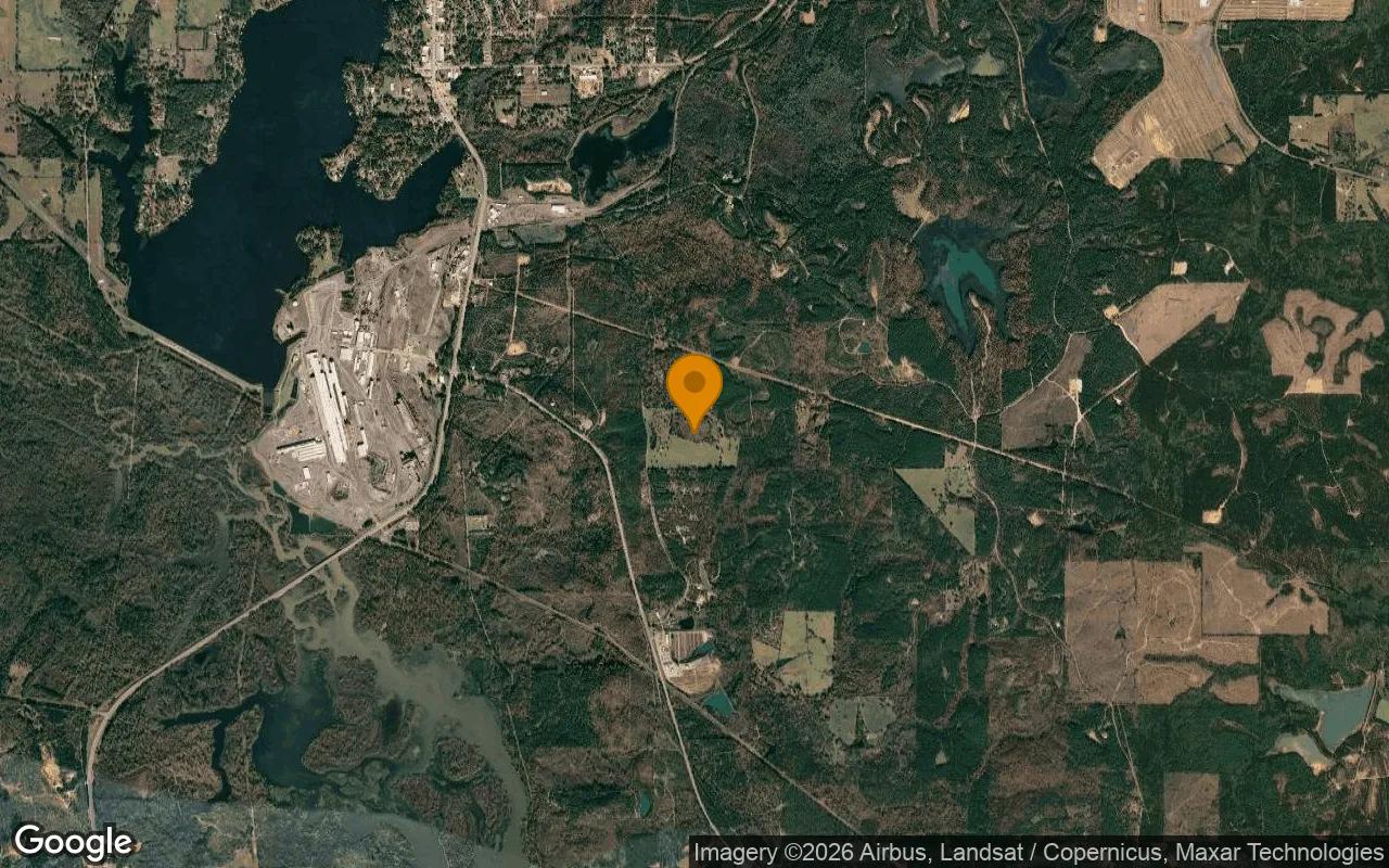 35.06 Acres in Lone Star - Morris County, TX - Image 3