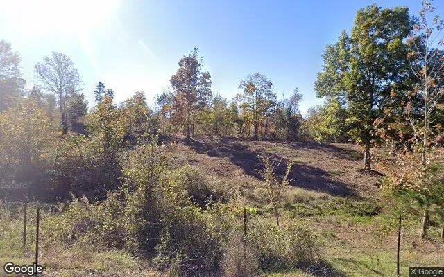 35.06 Acres in Lone Star - Morris County, TX - Image 4