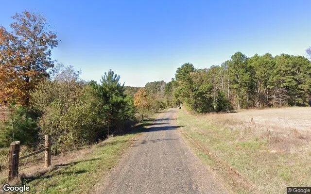 Decorative background for 35.06 Acres in Lone Star - Morris County, TX image 6
