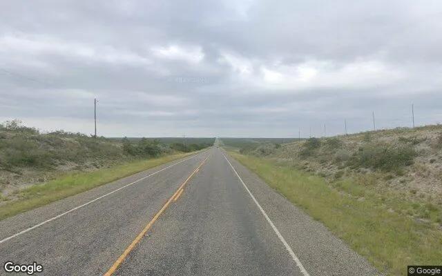 Decorative background for 125.37 Acres in Duval - Duval County, TX image 5