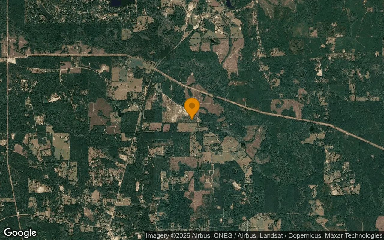 15.01 Acres in Warren - Tyler County, TX in Tyler County, Texas