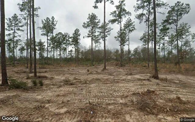 15.01 Acres in Warren - Tyler County, TX in Tyler County, Texas