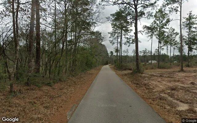 Decorative background for 15.01 Acres in Warren - Tyler County, TX image 5