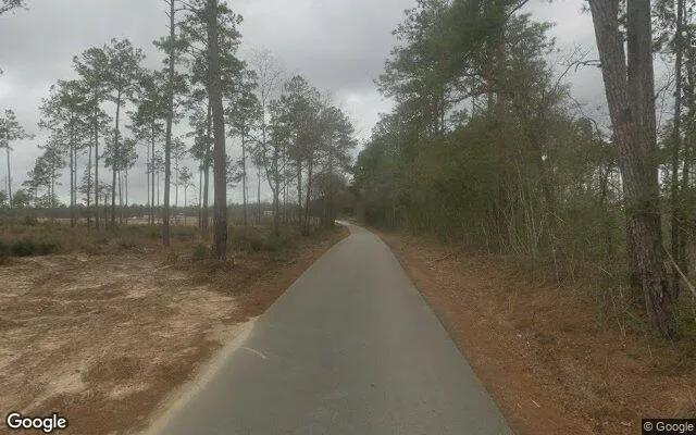 Decorative background for 15.01 Acres in Warren - Tyler County, TX image 6