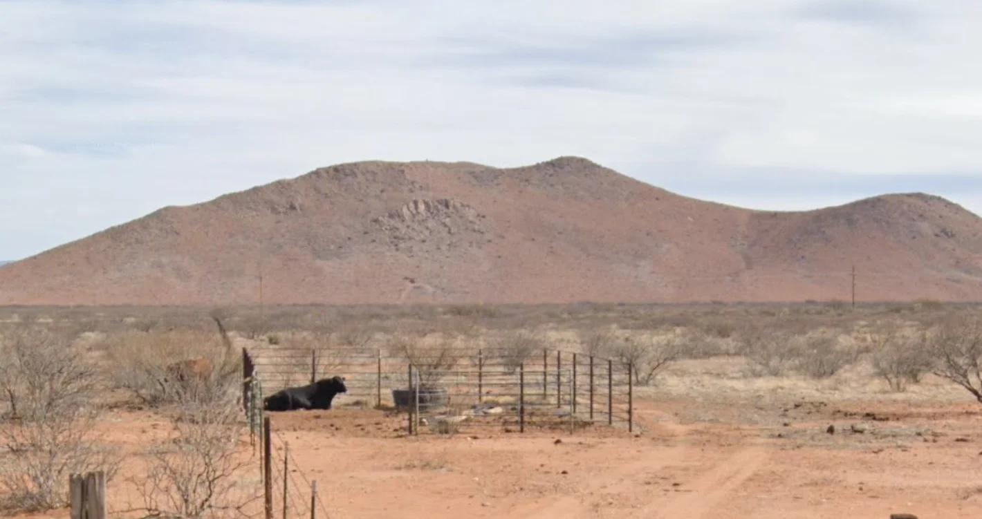 Decorative background for Cochise, AZ - 114-30-119 image 5