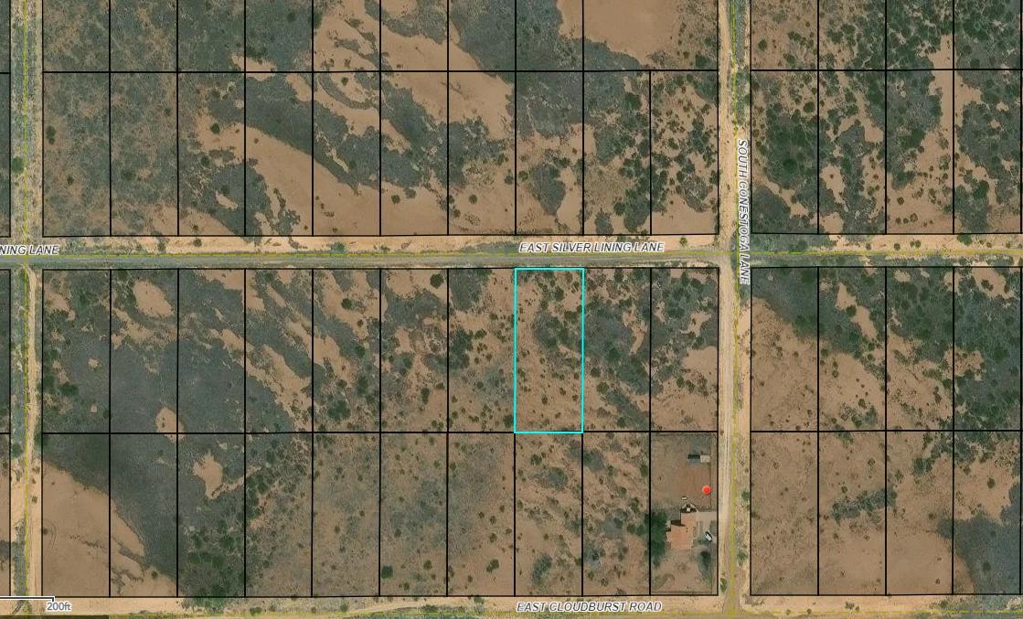 Decorative background for Cochise, AZ - 114-30-119 image 10