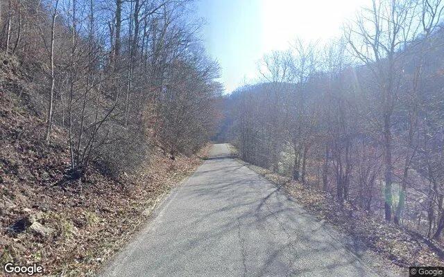 Decorative background for 34.97 Acres in Whitewood - Buchanan County, VA image 6