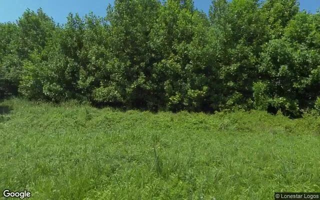 Decorative background for 0.48 Acres in Barhamsville - New Kent County, VA image 6
