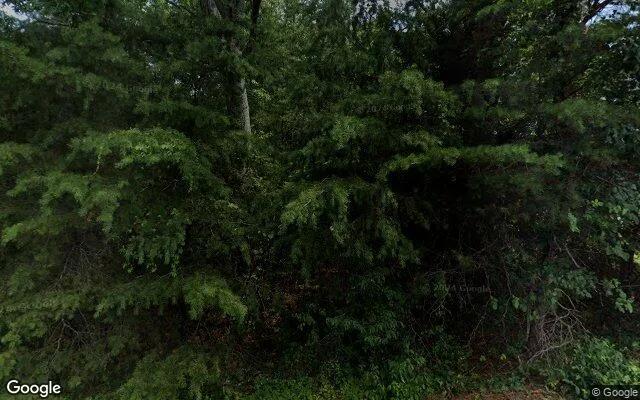 0.46 Acres in Cascade - Pittsylvania County, VA - Image 4