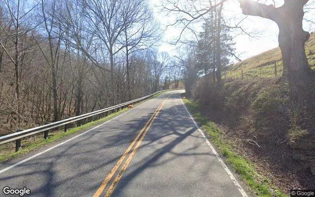 Decorative background for 32.23 Acres in Nickelsville - Scott County, VA image 6