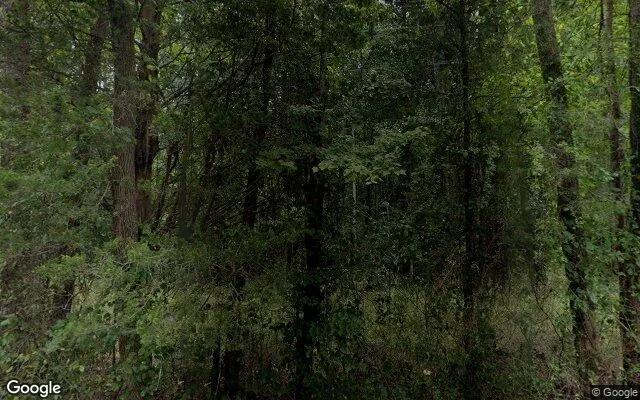 1.5 Acres in Louisa - Louisa County, VA - Image 4