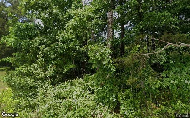 34.89 Acres in Dinwiddie - Dinwiddie County, VA in Dinwiddie County, Virginia