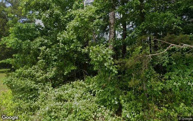 34.89 Acres in Dinwiddie - Dinwiddie County, VA - Image 4