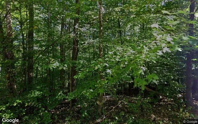 0.19 Acres in Brookneal - Campbell County, VA in Campbell County, Virginia