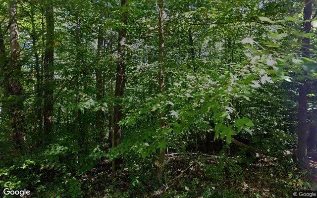 0.19 Acres in Brookneal - Campbell County, VA - Image 4