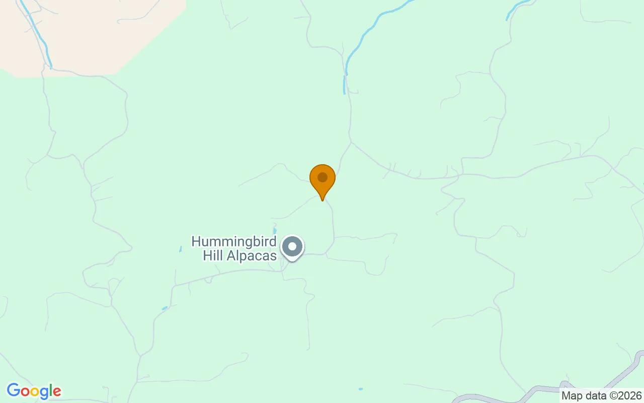 0.56 Acres in Crockett - Wythe County, VA - Image 4