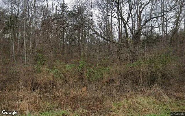 8.6 Acres in Haywood - Madison County, VA - Image 4
