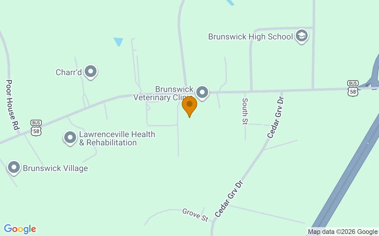 0.43 Acres in Lawrenceville - Brunswick County, VA in Brunswick County, Virginia