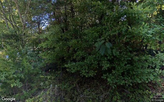 0.1 Acres in Gladys - Campbell County, VA in Campbell County, Virginia