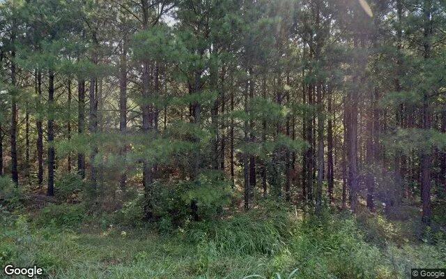 1.64 Acres in Prospect - Prince Edward County, VA - Image 4