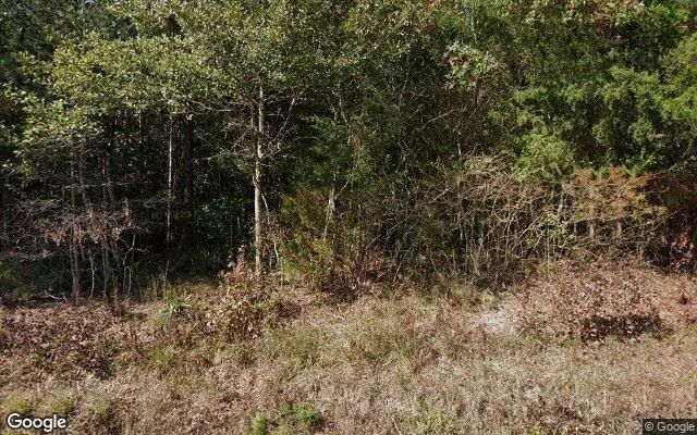 7.51 Acres in Dolphin - Brunswick County, VA in Brunswick County, Virginia