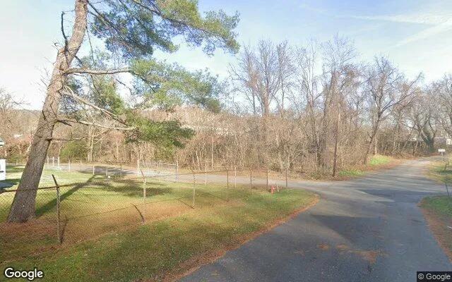 Decorative background for 0.24 Acres in Selma - Alleghany County, VA image 6