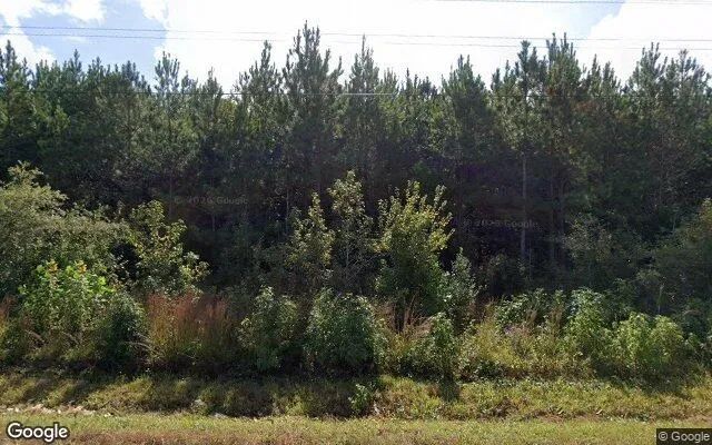 9.6 Acres in White Plains - Brunswick County, VA in Brunswick County, Virginia