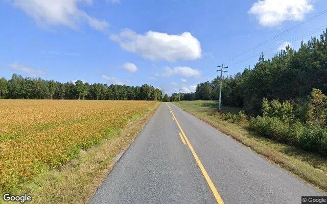 Decorative background for 9.6 Acres in White Plains - Brunswick County, VA image 5