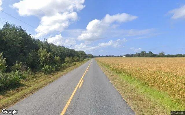 Decorative background for 9.6 Acres in White Plains - Brunswick County, VA image 6