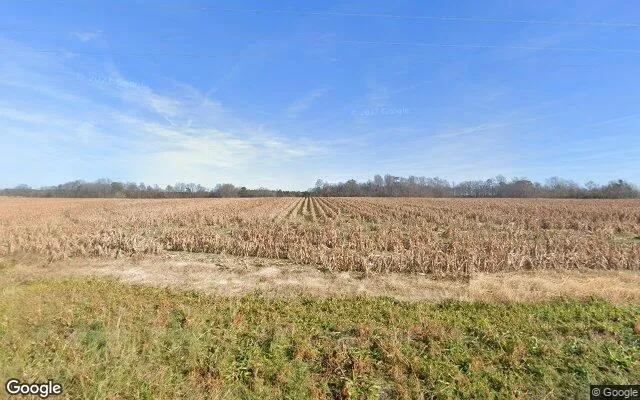 7.54 Acres in Emporia - Greensville County, VA - Image 4