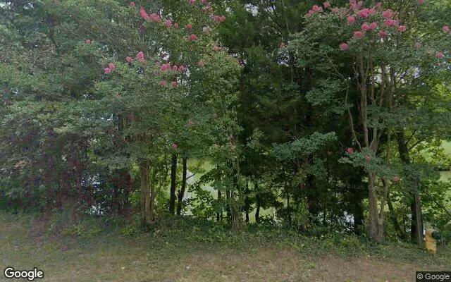 Decorative background for 0.27 Acres in Colonial Beach - Westmoreland County, VA image 6