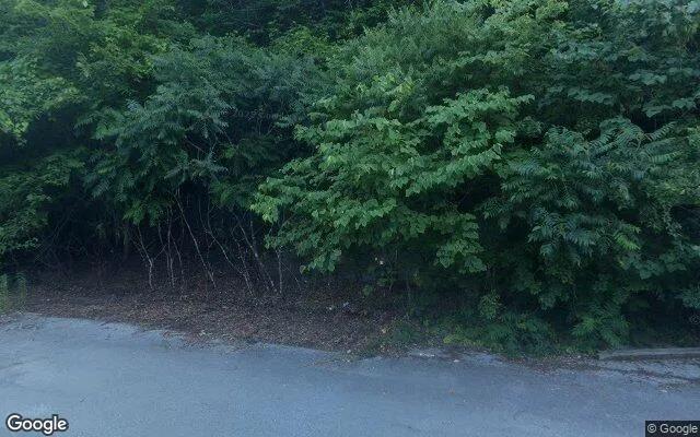 Decorative background for 8.33 Acres in Bee - Dickenson County, VA image 5